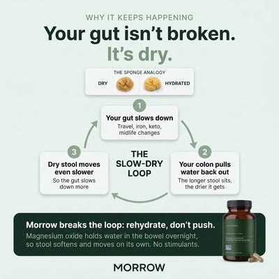 The Slow-Dry Loop: your gut isn't broken, it's dry. Morrow breaks the loop: rehydrate, don't push.