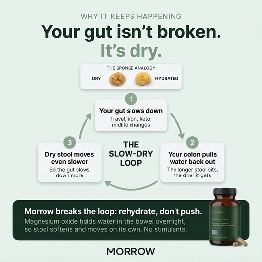 The Slow-Dry Loop: your gut isn't broken, it's dry. Morrow breaks the loop: rehydrate, don't push.